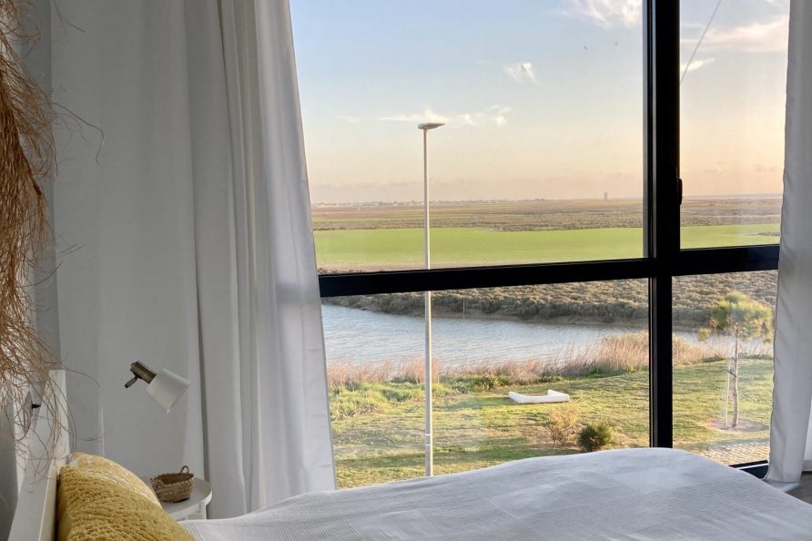 View over bed to nature reserve